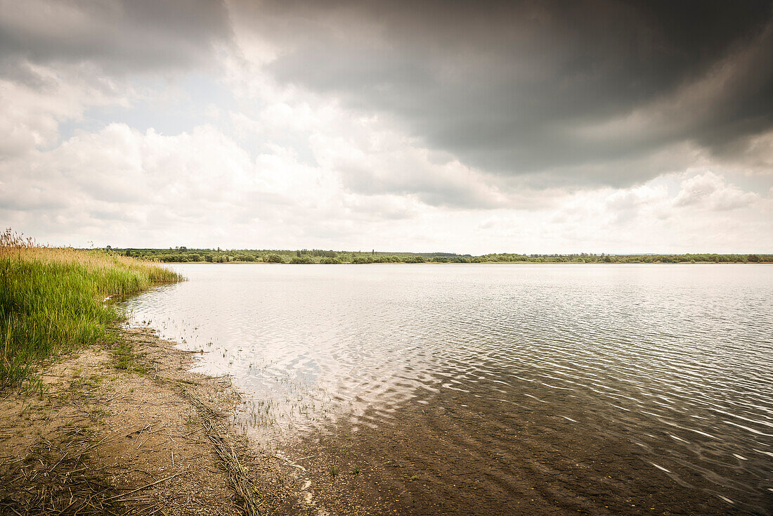 recultivation at Gremming Lake, Ferropolis - City of Iron, Dessau, Saxony-Anhalt, European Route of Industrial Culture