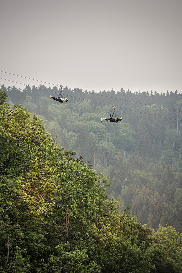 Zipline am Stausee der Talsperre Wendefurth, Harz Nationalpark, Sachsen-Anhalt, Deutschland