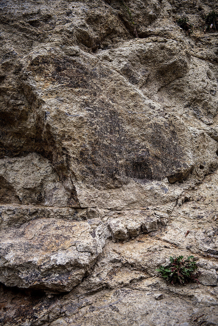suevit rocks in the quarry of Altenbuerg, GEO park Noerdlinger Ries, greater Noerdlingen, Bavaria, Germany