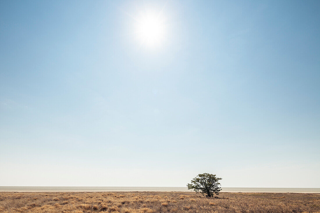 Sengende Sonne über der Etosha-Pfanne im Etosha-Nationalpark, Namibia, Afrika