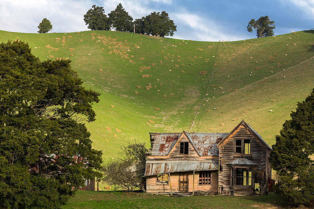 verlassenes Holzhaus, Schaffarm, verfallen, Ruine, Weidelandschaft, Hügel, Niemand, Südinsel, Neuseeland