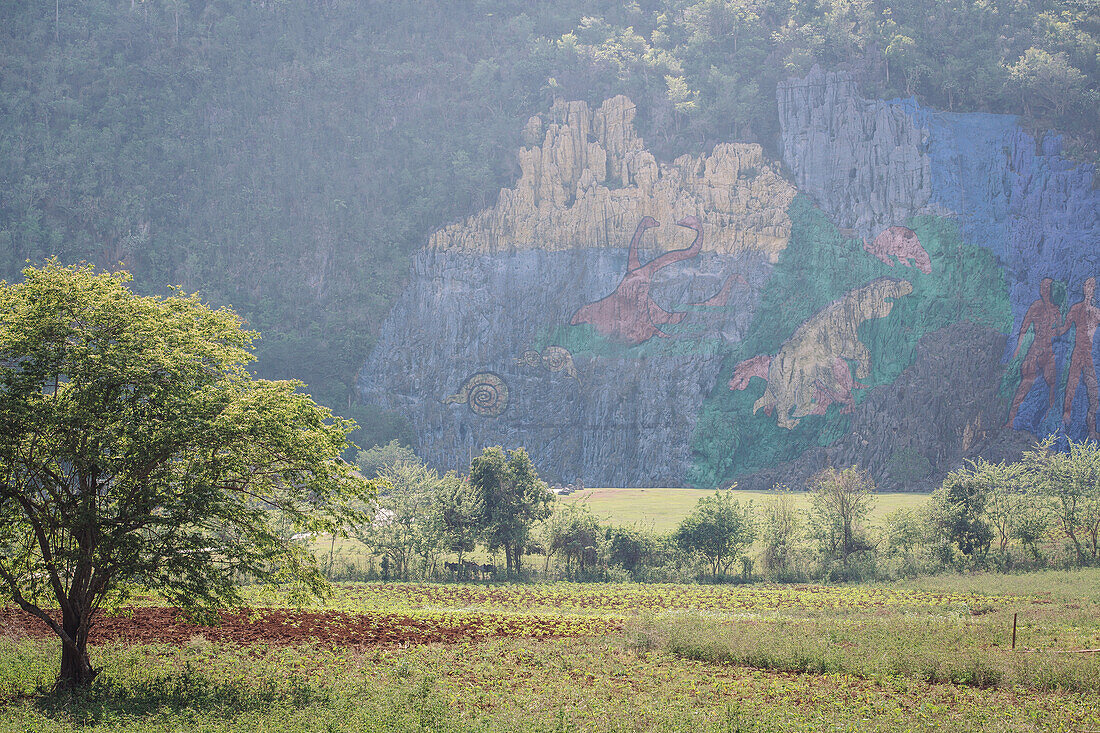 Vinales, Provinz Pinar del Rio, Kuba