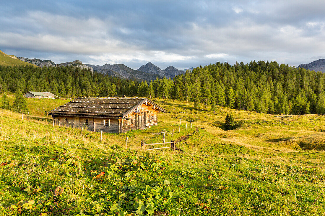 Almhütte auf der Gotzenalm, Nationalpark Berchtesgaden, Berchtesgadener Land, Bayern, Deutschland, Europa