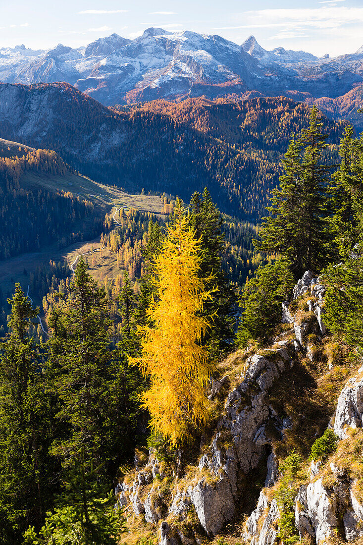 Steinernes Meer, Blick vom Jenner, Berchtesgadener Land, Bayern, Deutschland, Europa