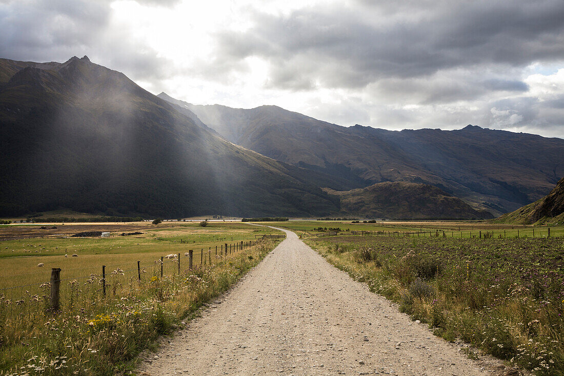 Mount Aspring National Park, Otago, South Island, New Zealand, Oceania