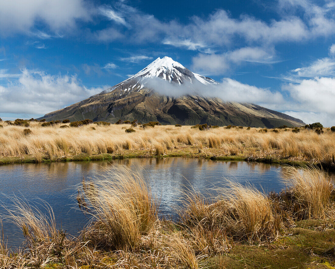 Taranaki, Egmont, Egmont-National Park, North Island, New Zealand, Oceania