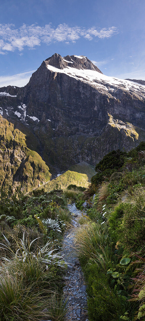 Milford Track, Great Walk, Fjordland National Park, Milford Sound, Southland, Südinsel, Neuseeland, Ozeanien