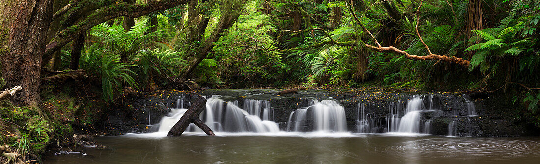 Purakaunui Falls, Wasserfall in Catlins, Clutha, Otago, Southland, Südinsel, Neuseeland, Ozeanien