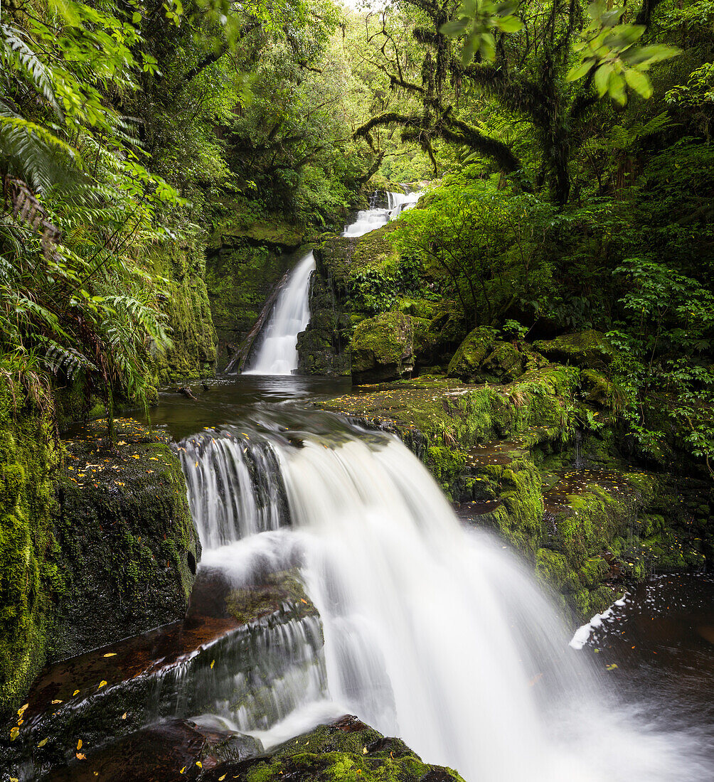 Purakaunui Falls, Waterfall in the Catlins, Clutha, Otago, Southland, South Island, New Zealand, Oceania
