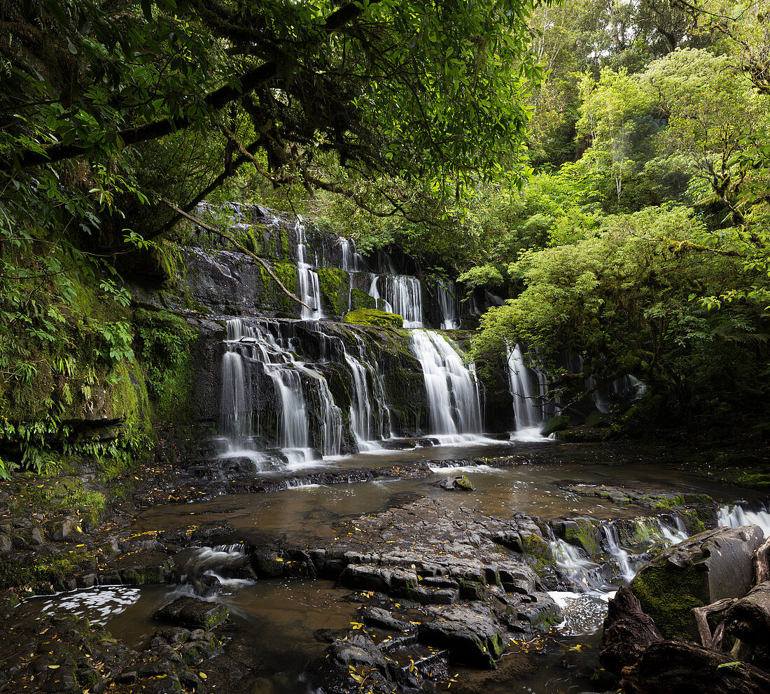 Purakaunui Falls, Waterfall in the Catlins, Clutha, Otago, Southland, South Island, New Zealand, Oceania