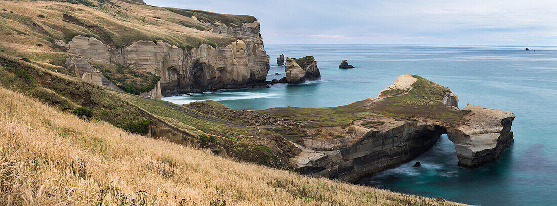 Rocky cliffs at Dunedin, Otago, South Island, New Zealand, Oceania