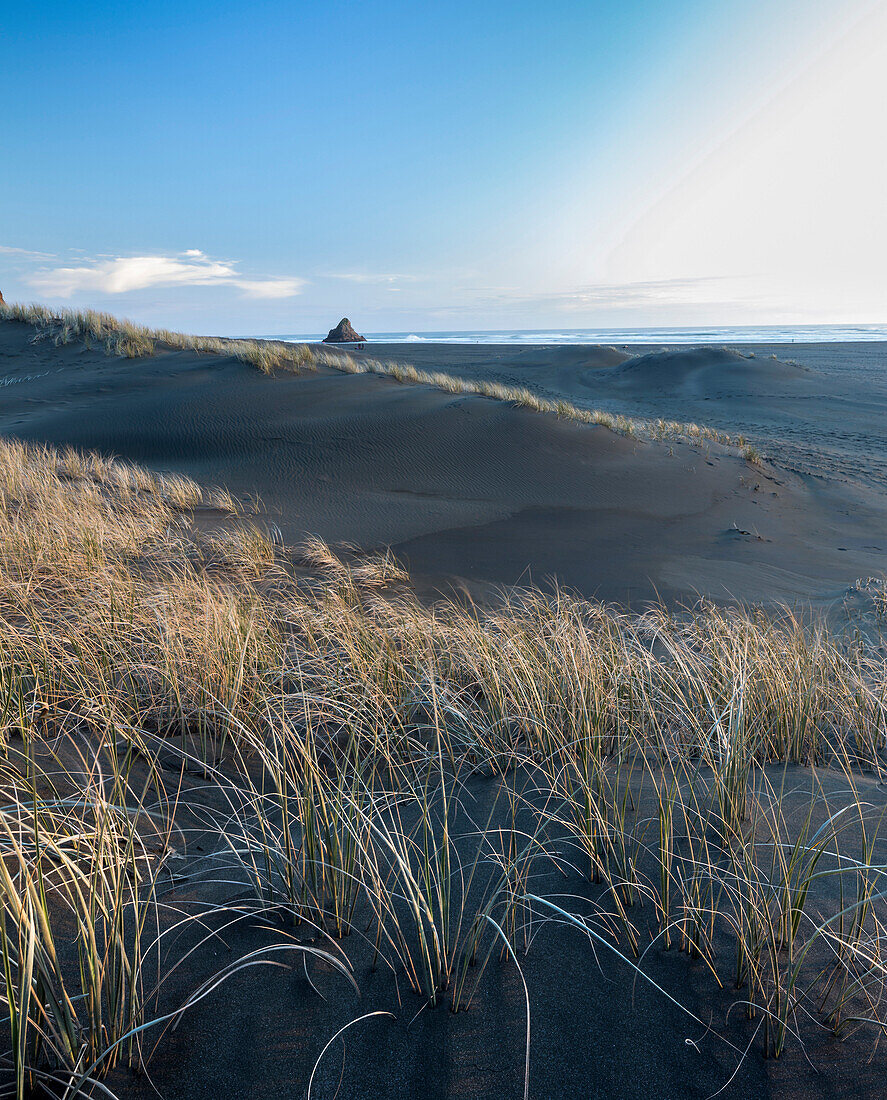 Karekare beach, Waitakere Ranges Regional Park, Auckland, Nordinsel, Neuseeland, Ozeanien