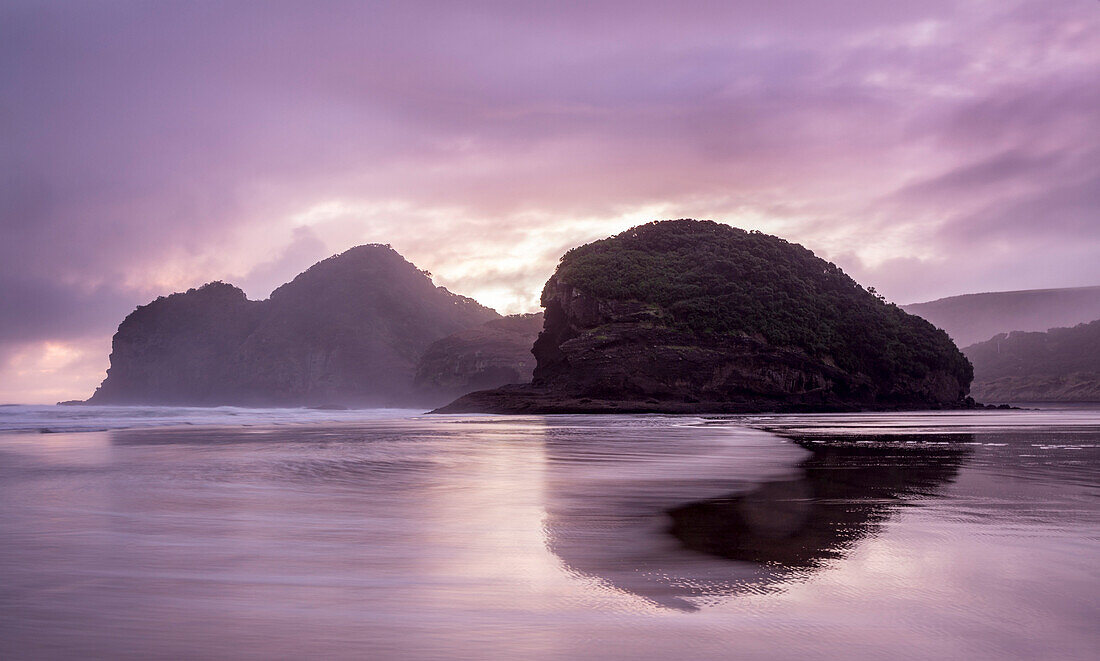 Coastal landscape with reflection, Waitakere, Auckland, North Island, New Zealand, Oceania