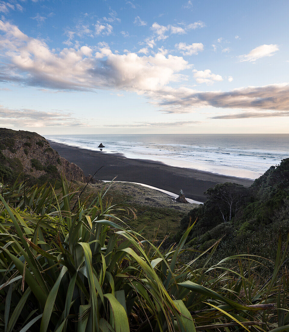 Coastal landscape, Karekare, Waitakere Ranges Regional Park, Auckland, North Island, New Zealand, Oceania