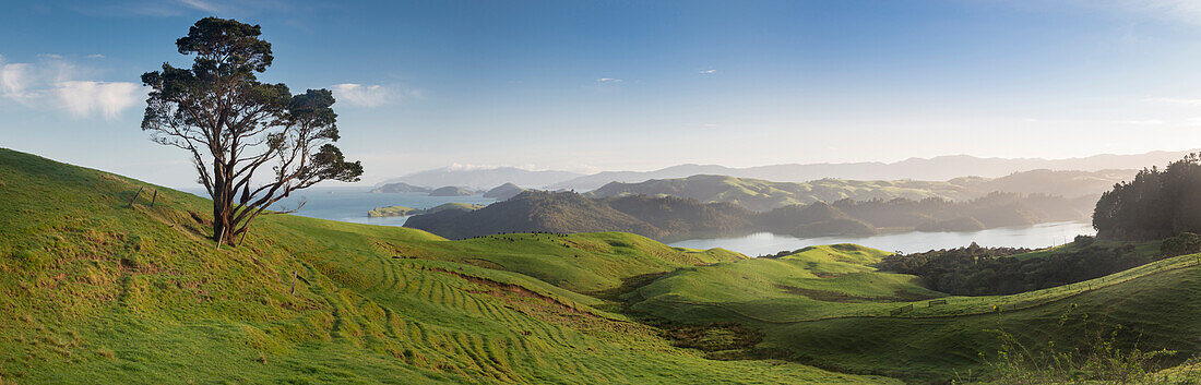 Coromandel, Hauraki Gulf, Thames-Coromandel District, Coromandel Peninsula, North Island, New Zealand, Oceania