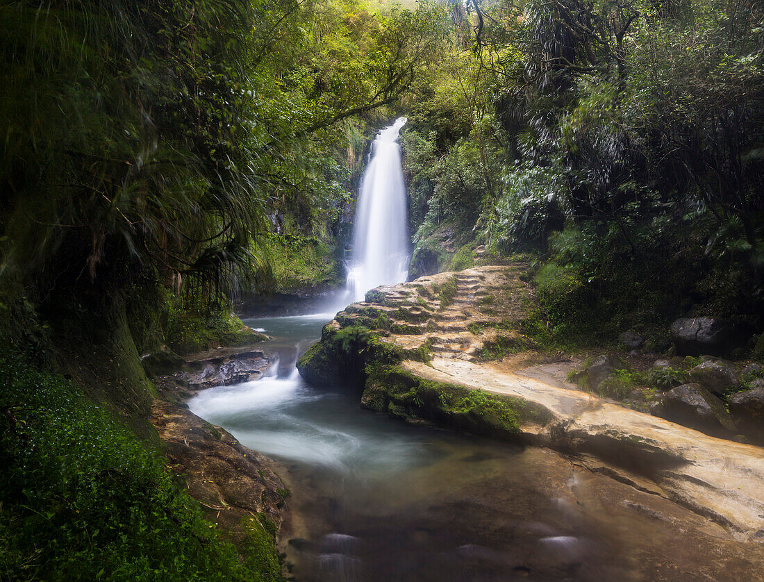 Waterfall, Tauranga, Bay of Plenty, North Island, New Zealand, Oceania