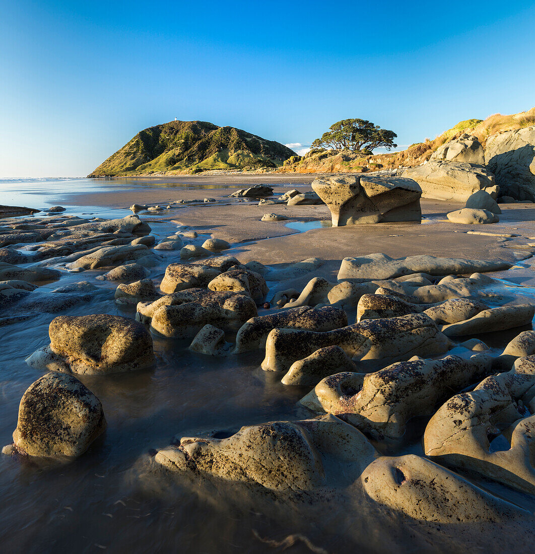 Felsformationen am Strand, Ost-Kap, Gisborne, Nordinsel, Neuseeland, Ozeanien