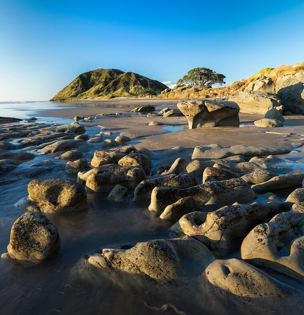 Rock formations on the beach, East Cape, Gisborne, North Island, New Zealand, Oceania