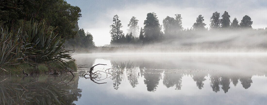 Lake Matheson with reflection of trees in the water, Westland Tai Poutini National Park, West Coast, South Island, New Zealand, Oceania