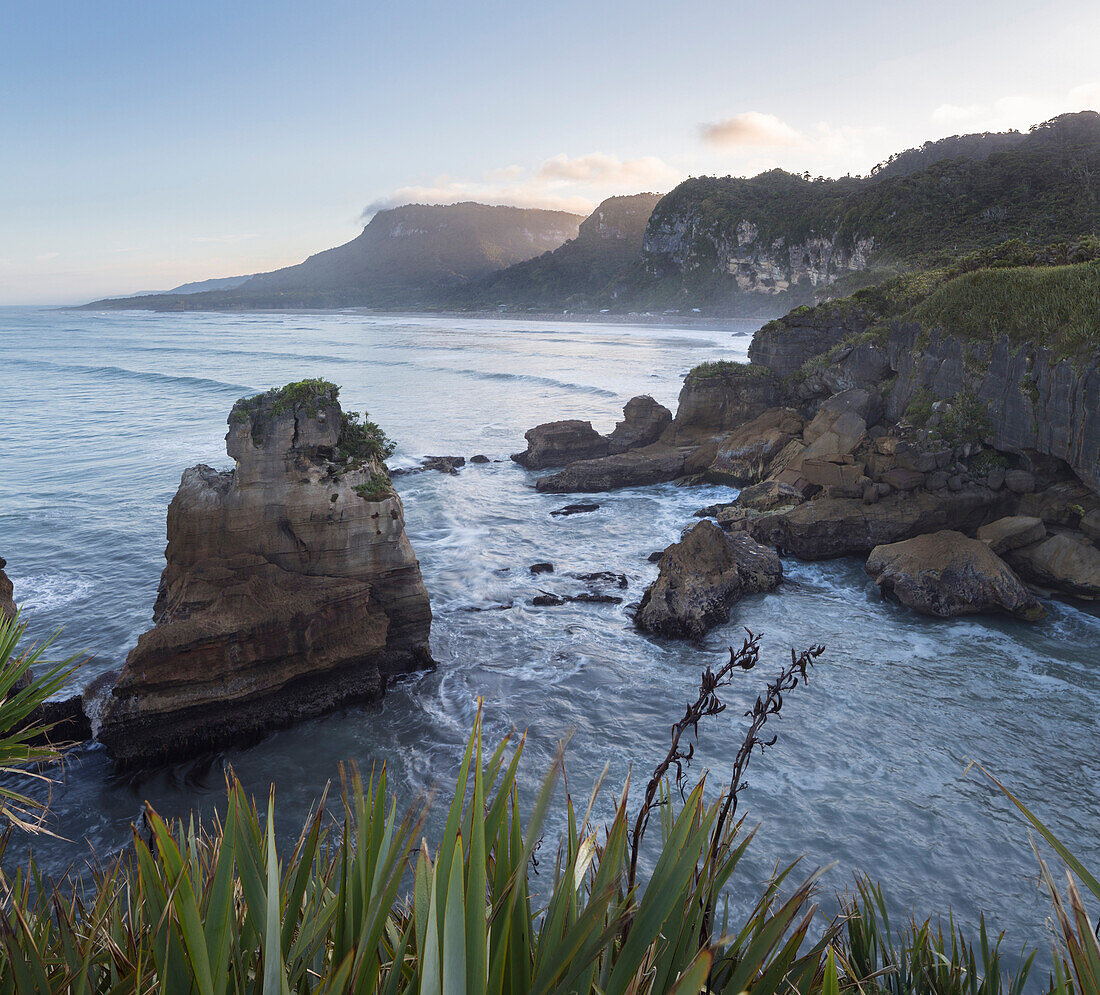 Steep coastline, Paparoa-National Park, West Coast,  South Island, Tasman Sea, New Zealand, Oceania