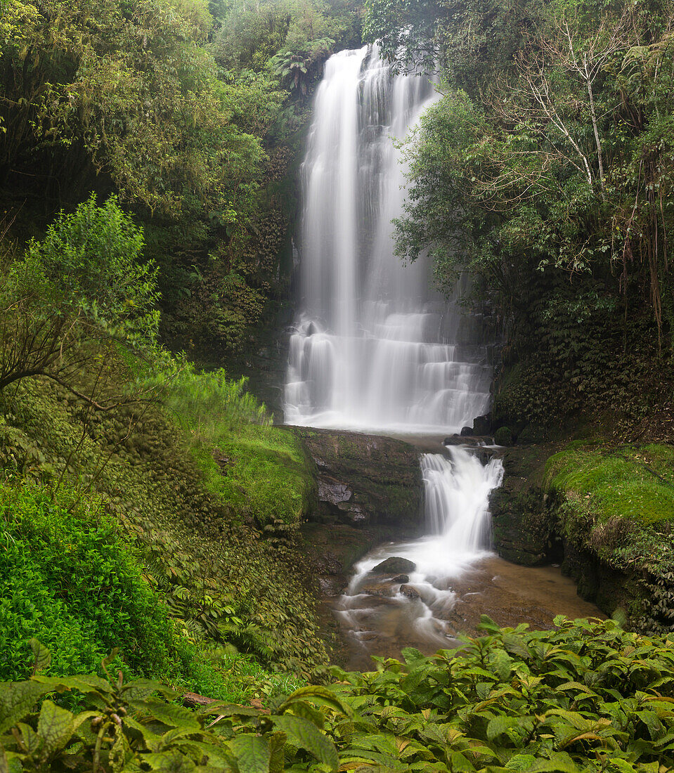 Waterfalls at Waikato, North Island, New Zealand, Oceania