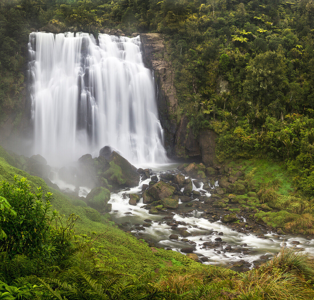 Marokopa Falls, Waikato, Nordinsel, Neuseeland, Ozeanien