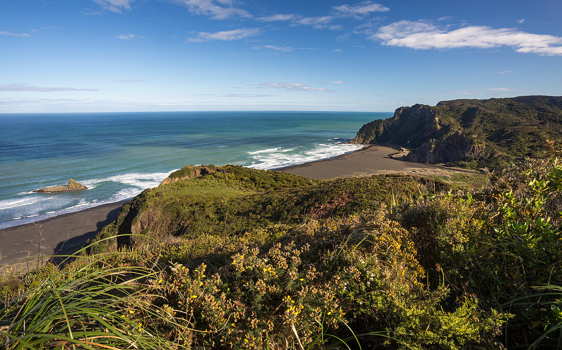 Karekare, Waitakere Ranges Regional Park, Auckland, North Island, New Zealand, Oceania