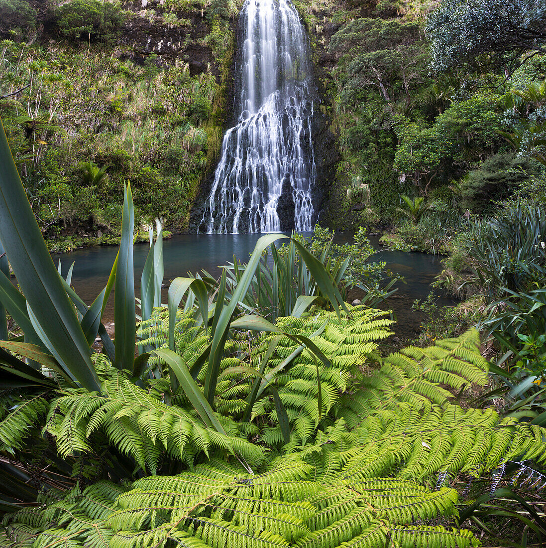 Karekare, Waitakere Ranges Regional Park, Auckland, Nordinsel, Neuseeland, Ozeanien