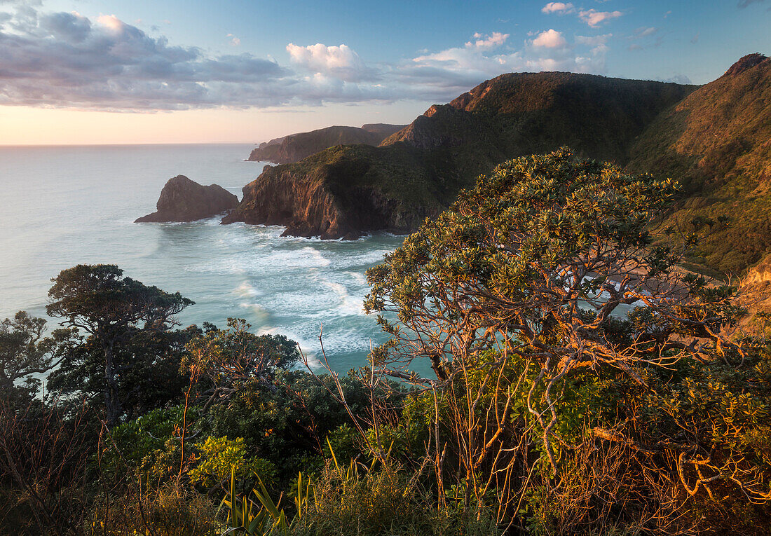 Piha, Waitakere Ranges Regional Park, Auckland, Tasman Sea, North Island, New Zealand, Oceania