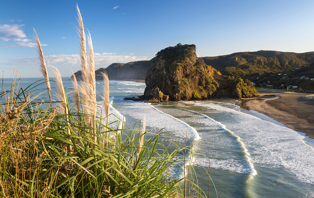 Piha, Waitakere Ranges Regional Park, Auckland, Tasman Sea, North Island, New Zealand, Oceania