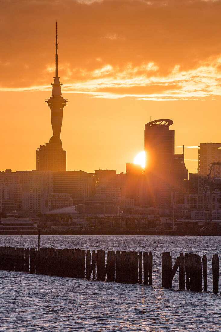 Orakei, Auckland, Nordinsel, Neuseeland, Ozeanien