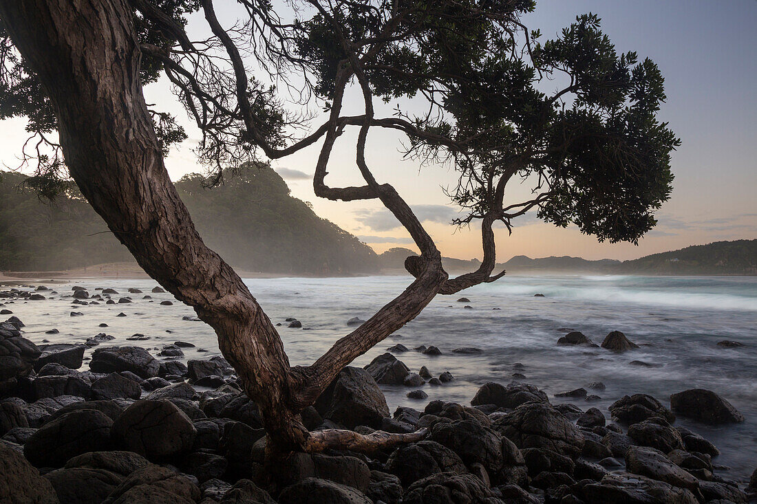 Hot Water Beach, Whitianga, Thames-Coromandel District, Coromandel Peninsula, Nordinsel, Neuseeland, Ozeanien