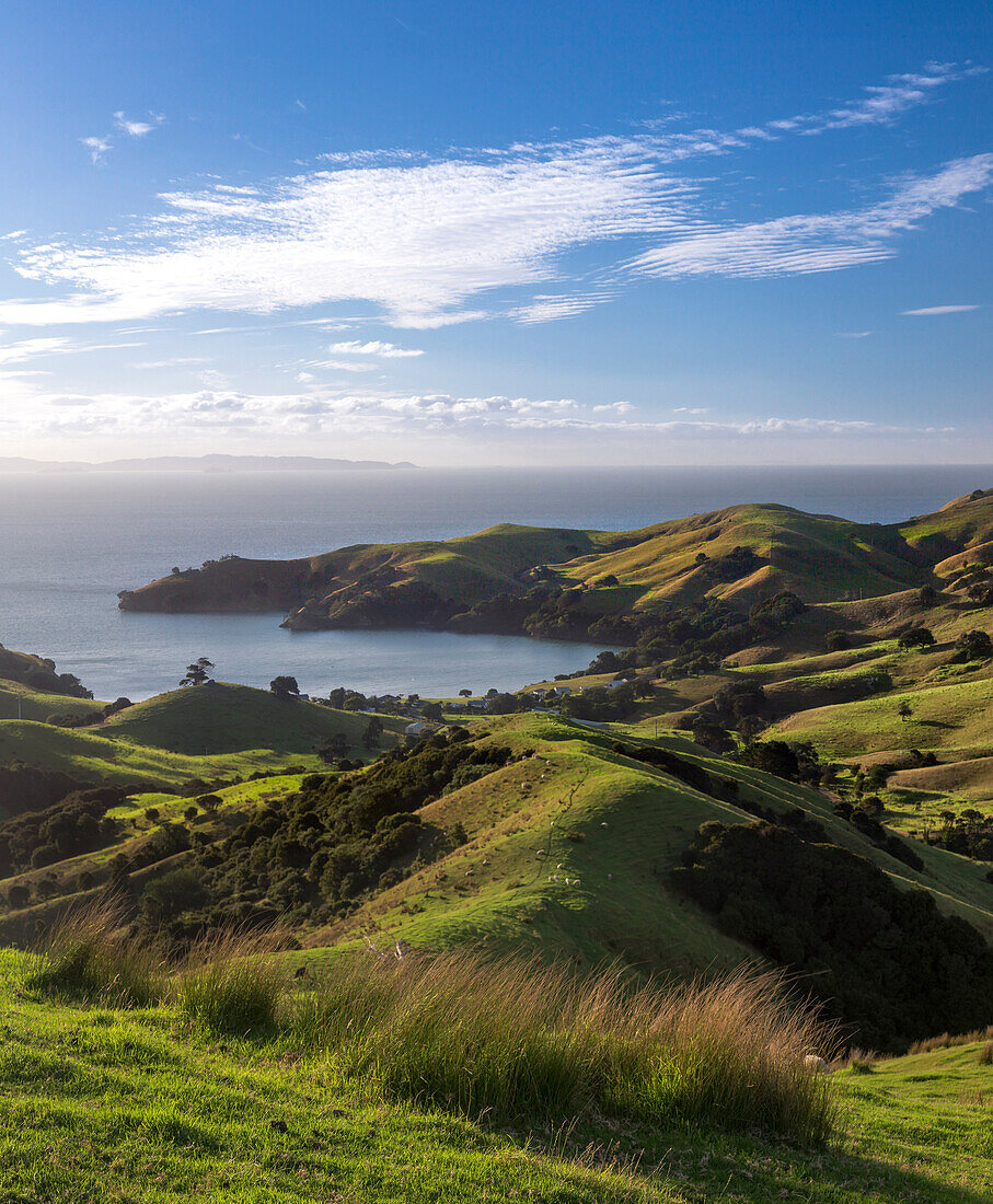 Coromandel, Hauraki Gulf, Thames-Coromandel District, Coromandel Peninsula, North Island, New Zealand, Oceania