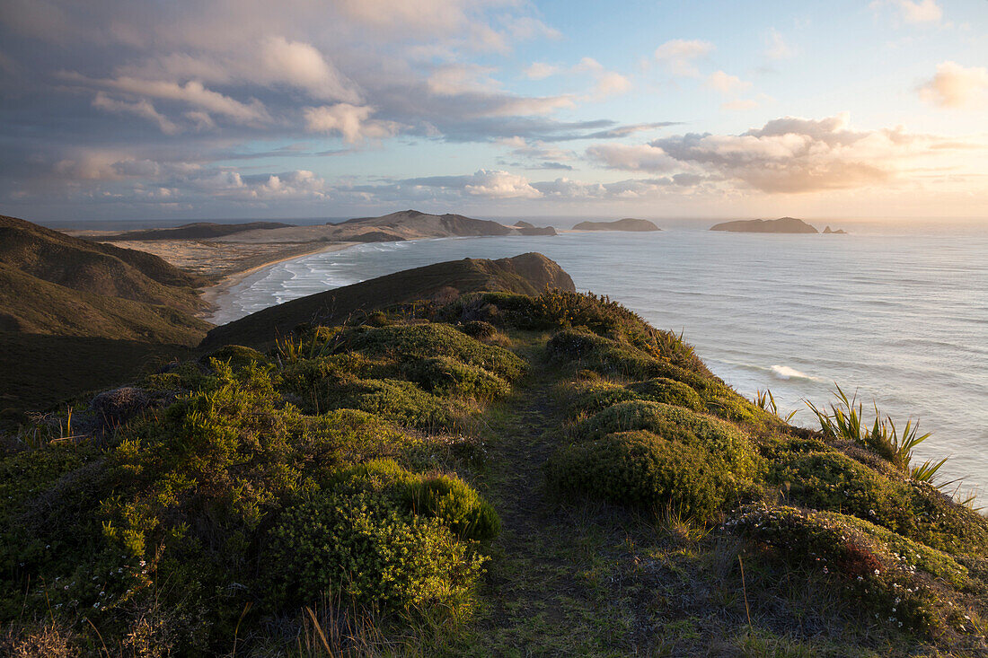 Coastal landscape at Cape Reinga, Aupouri Peninsula, North Island, New Zealand, Oceania