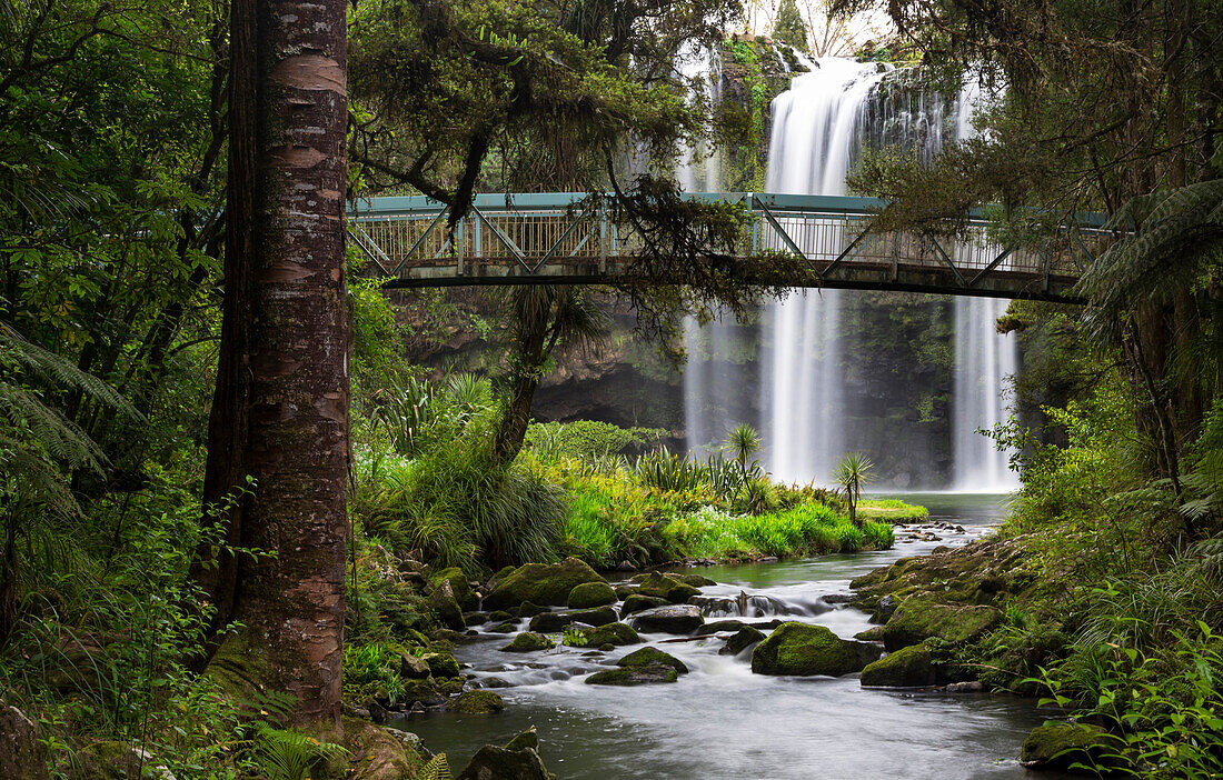 Water falls, Whangarei, North Island, New Zealand, Oceania