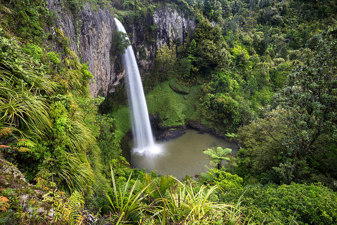 Bridal Veil Falls, Raglan, Waikato, Nordinsel, Neuseeland, Ozeanien