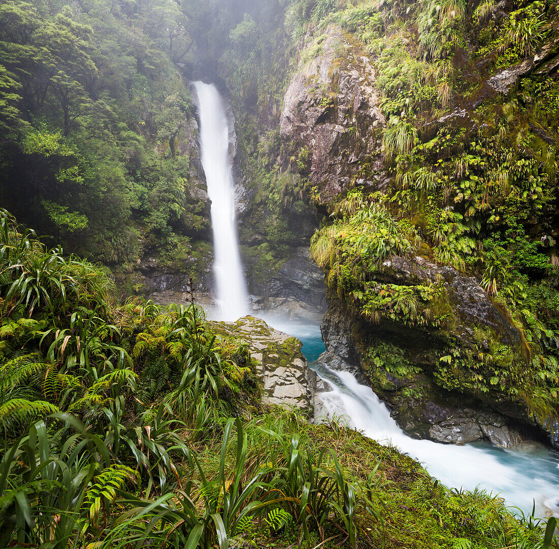 Fjordland National Park, Milford Sound, Southland, Südinsel, Neuseeland, Ozeanien