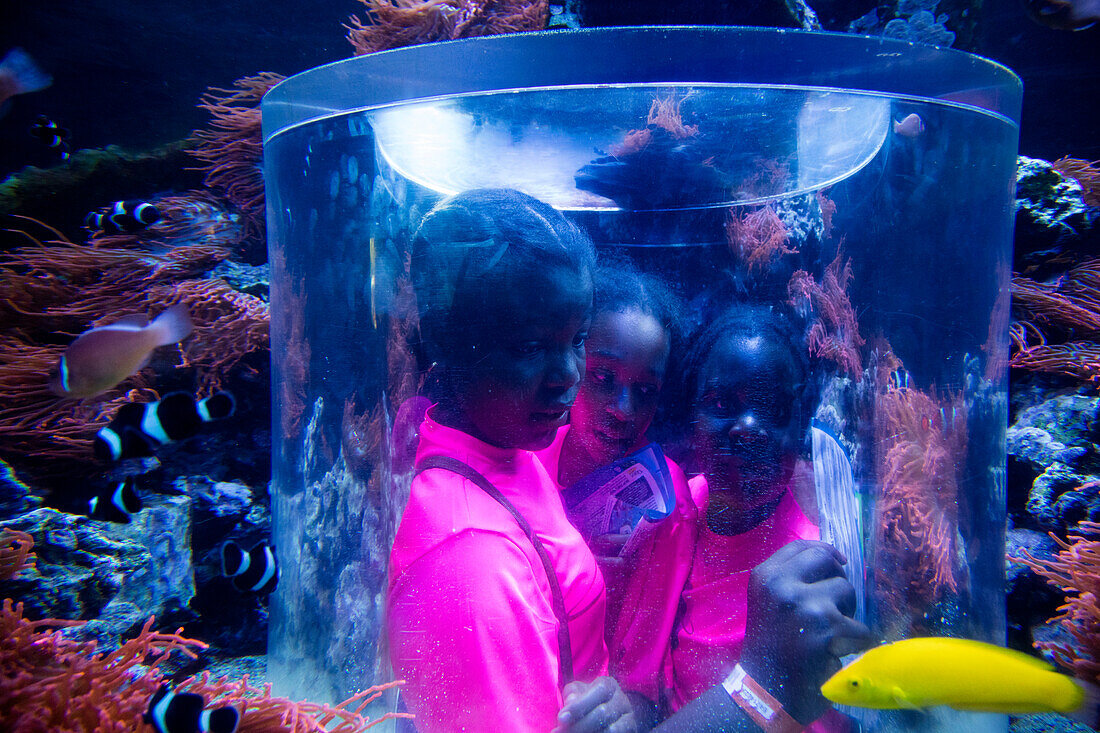 Kinder betrachten Fische von einer Glaskuppel innerhalb von einem Aquarium im Antarktis Themenbereich vom Sea World Orlando Freizeitpark, Orlando, Florida, USA