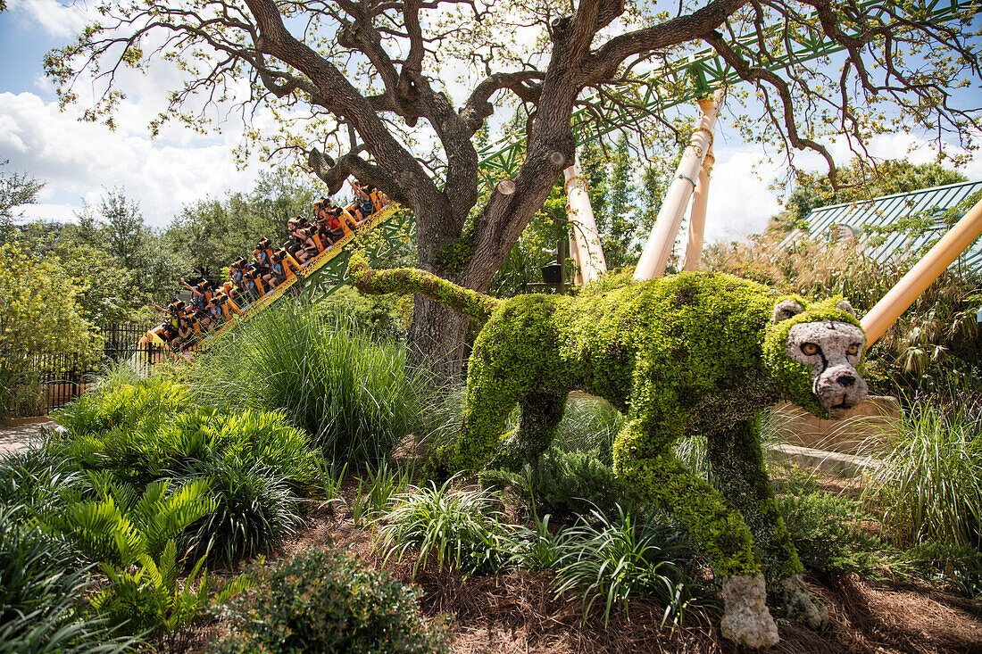 Gepard Skulptur mit Bepflanzung vor der Cheetah Hunt Achterbahn im Busch Gardens Tampa Bay Freizeitpark, Tampa, Florida, USA