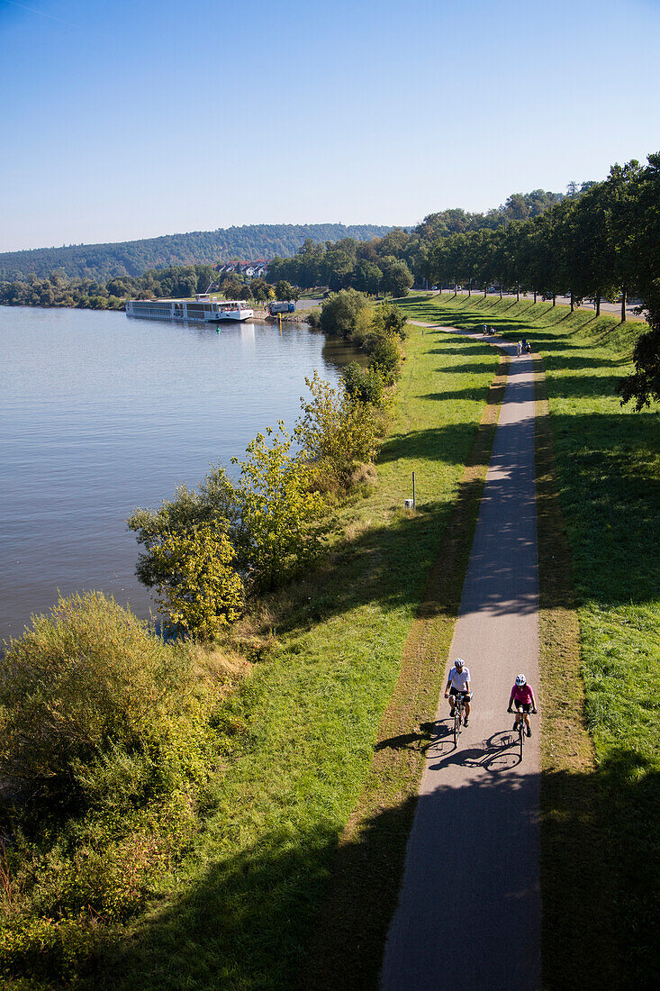 Overhead of two bicycle riders on Mainradweg cycling path along Main river with river cruise ship Viking Modi (Viking River Cruises) in distance, Wertheim, Spessart-Mainland, Franconia, Baden-Wuerttemberg, Germany