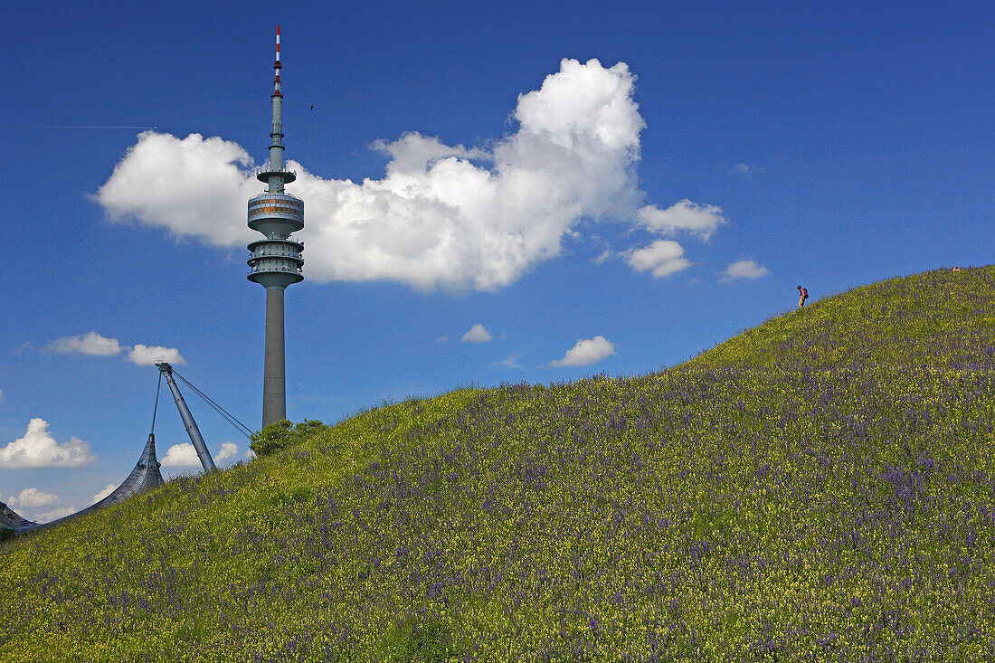 Roof construction of the Olympic stadion and olympic tower, Olympic park, Munich, Upper Bavaria, Bavaria, Germany