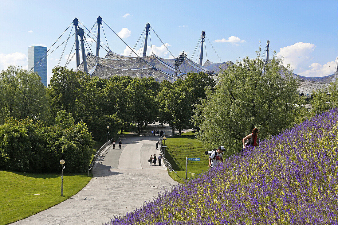 Roof construction of the Olympic stadion, Munich, Olympic park, Upper Bavaria, Bavaria, Germany