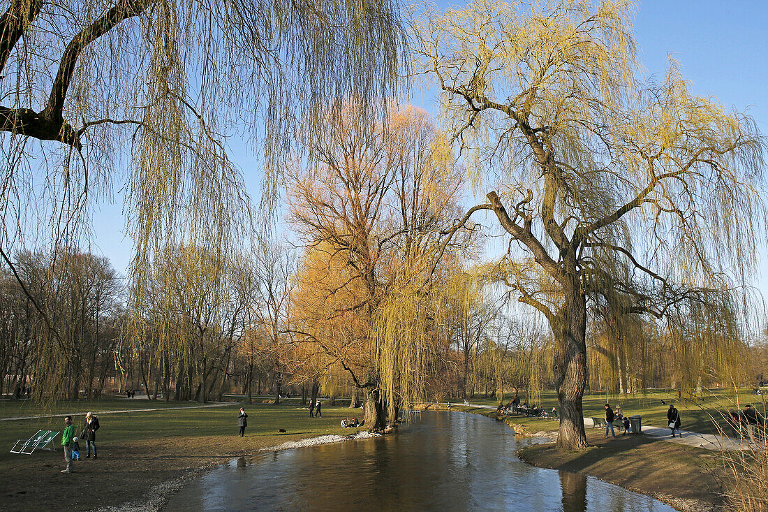 Frühjahr, Schwabinger Bach, Englischer Garten, Schwabing, München, Oberbayern, Bayern, Deutschland