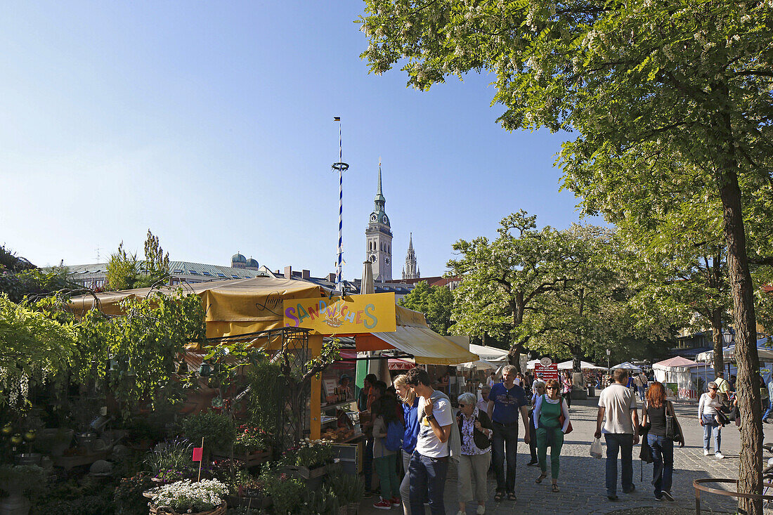 Viktualienmarkt with steeples of St Peter and the New city hall, Munich, Upper Bavaria, Bavaria, Germany