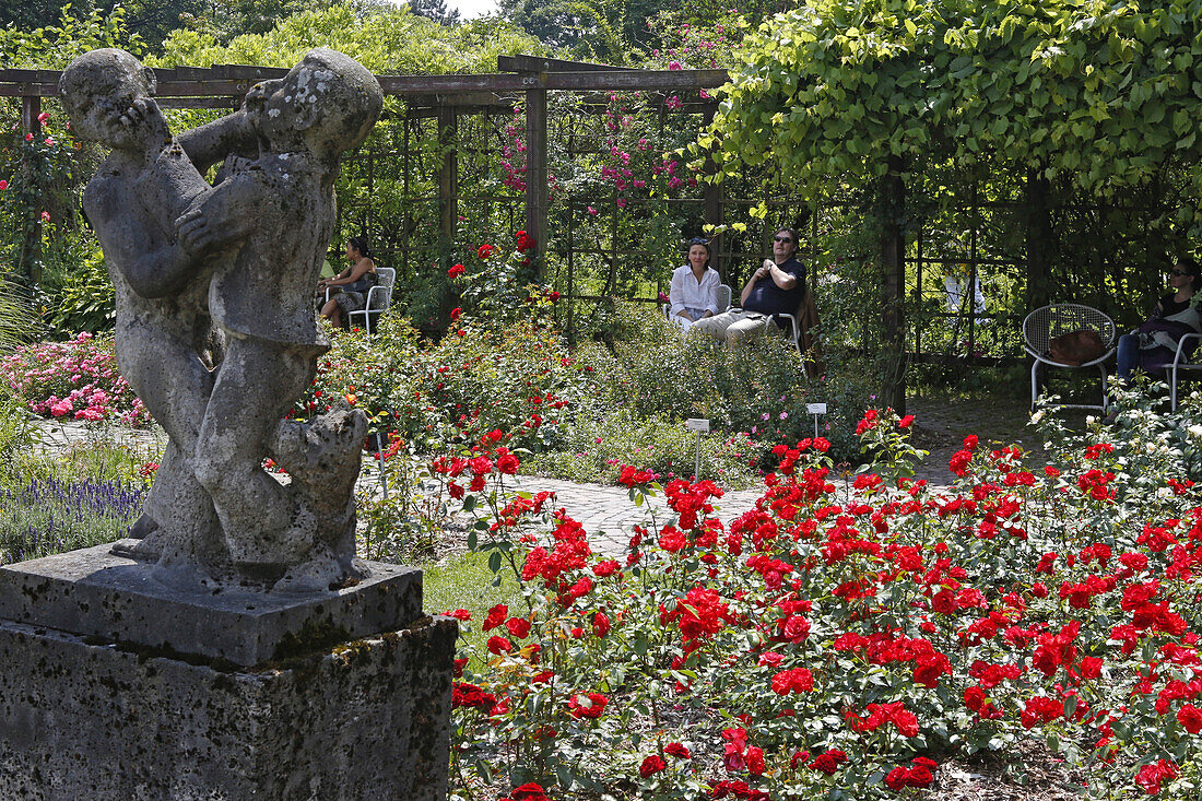 Rose garden, Public garden of the old tree nursery Bischweiler, Untergiesing, Munich, Upper Bavaria, Bavaria, Germany