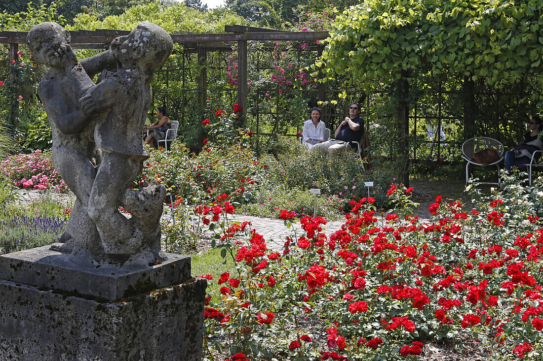 Rosengarten im Garten an der Alten Baumschule Bischweiler, Untergiesing, München, Oberbayern, Bayern, Deutschland