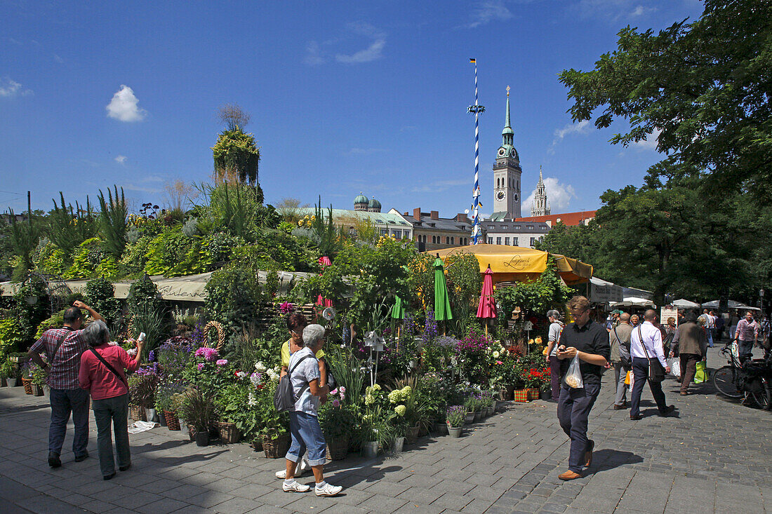 Viktualienmarkt, im Hintergrund Alter Peter und Neues Rathaus, München, Oberbayern, Bayern, Deutschland