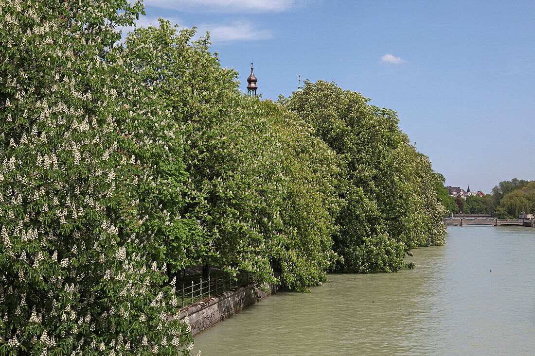 Isarkanal, Lehel, München, Oberbayern, Bayern, Deutschland