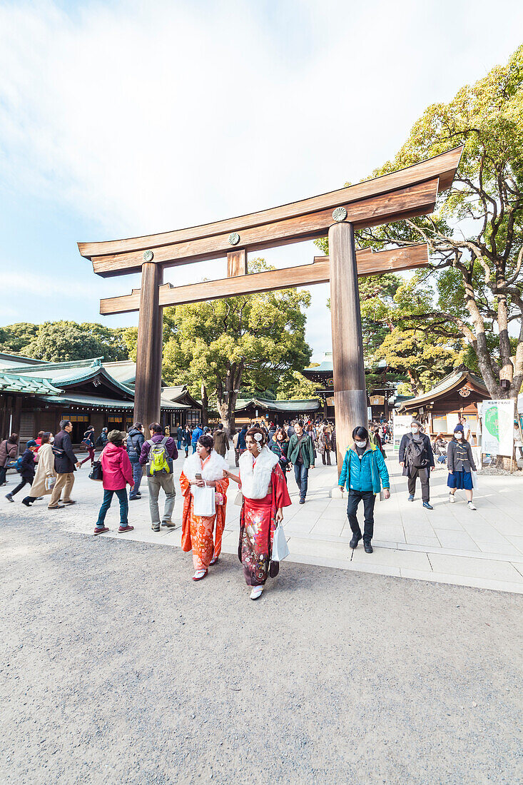 Two young Japanese women on Coming of Age day in front of Wooden Torii of Meiji Shrine, Shibuya, Tokyo, Japan