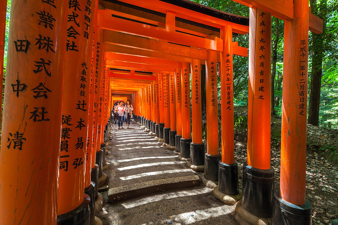 Famous stone path with many red Torii at Fushimi Inari-Taisha in Kyoto, Japan